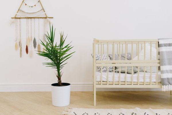Side view of a crib in a white room